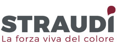 13 Logo Straudi kl