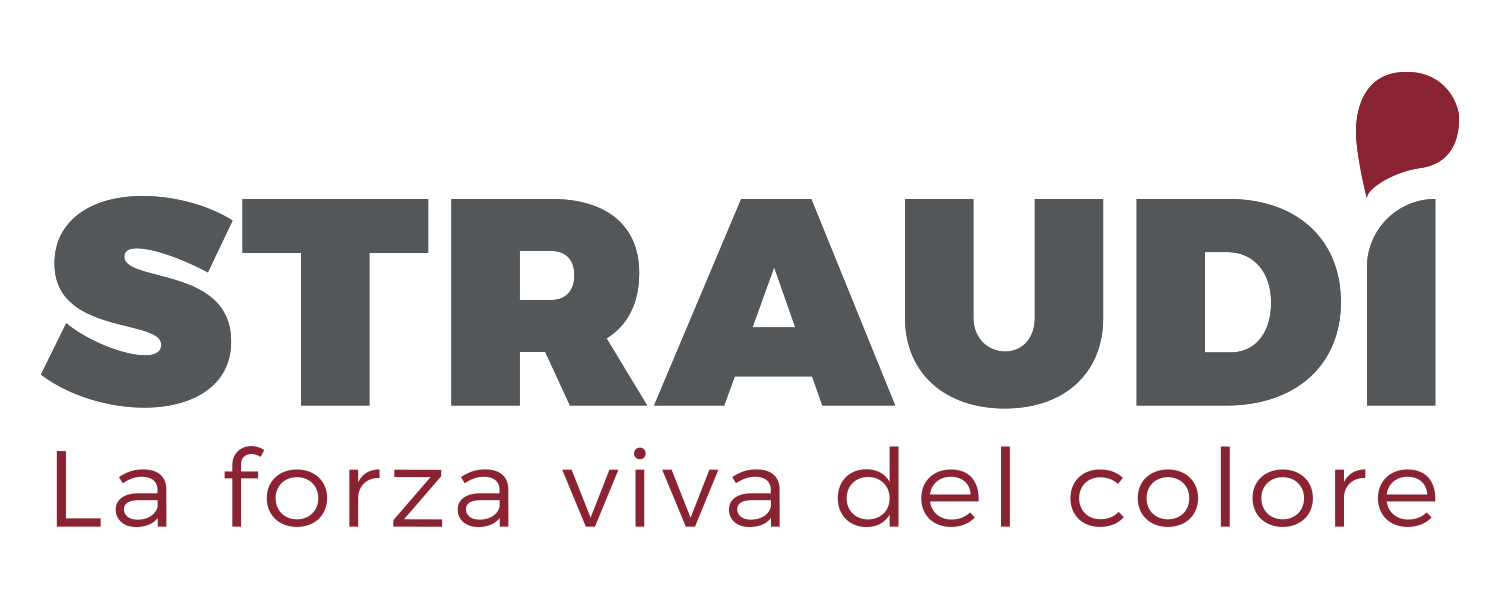 Logo Straudi rgb